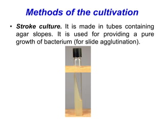 Methods of the cultivation
• Stroke culture. It is made in tubes containing
agar slopes. It is used for providing a pure
growth of bacterium (for slide agglutination).
 