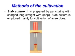 Methods of the cultivation
• Stab culture. It is prepared by puncturing with
charged long straight wire (loop). Stab culture is
employed mainly for cultivation of anaerobes.
 