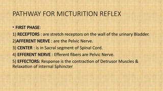 physiology of micturition jjjhnhjjhjjjóoóooooooooooóóóó | PPTX