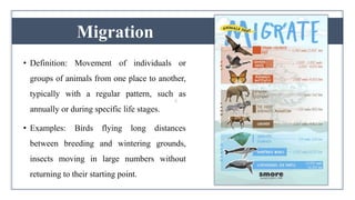 Migration Definition Science Physiology of Migration and Behaviour in Fish.pptx