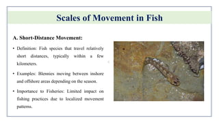 Physiology of Migration and Behaviour in Fish.pptx
