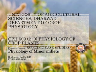 1
Presentation on
Physiology of Minor millets
Brahmesh Reddy B R
PGS20AGR8436
 