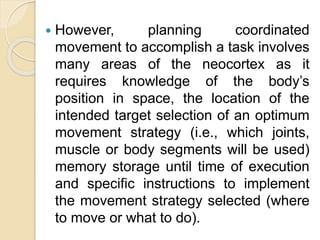  However, planning coordinated
movement to accomplish a task involves
many areas of the neocortex as it
requires knowledge of the body’s
position in space, the location of the
intended target selection of an optimum
movement strategy (i.e., which joints,
muscle or body segments will be used)
memory storage until time of execution
and specific instructions to implement
the movement strategy selected (where
to move or what to do).
 