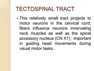 TECTOSPINAL TRACT
 This relatively small tract projects to
motor neurons in the cervical cord;
fibers influence neurons innervating
neck muscles as well as the spinal
accessory nucleus (CN X1) ; important
in guiding head movements during
visual motor tasks.
 