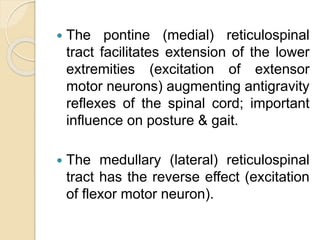  The pontine (medial) reticulospinal
tract facilitates extension of the lower
extremities (excitation of extensor
motor neurons) augmenting antigravity
reflexes of the spinal cord; important
influence on posture & gait.
 The medullary (lateral) reticulospinal
tract has the reverse effect (excitation
of flexor motor neuron).
 