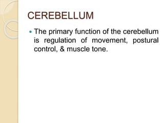 CEREBELLUM
 The primary function of the cerebellum
is regulation of movement, postural
control, & muscle tone.
 