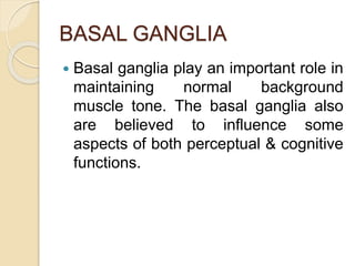 BASAL GANGLIA
 Basal ganglia play an important role in
maintaining normal background
muscle tone. The basal ganglia also
are believed to influence some
aspects of both perceptual & cognitive
functions.
 