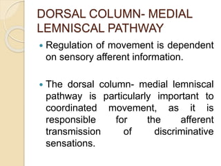 DORSAL COLUMN- MEDIAL
LEMNISCAL PATHWAY
 Regulation of movement is dependent
on sensory afferent information.
 The dorsal column- medial lemniscal
pathway is particularly important to
coordinated movement, as it is
responsible for the afferent
transmission of discriminative
sensations.
 