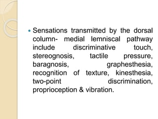  Sensations transmitted by the dorsal
column- medial lemniscal pathway
include discriminative touch,
stereognosis, tactile pressure,
baragnosis, graphesthesia,
recognition of texture, kinesthesia,
two-point discrimination,
proprioception & vibration.
 