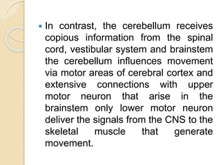  In contrast, the cerebellum receives
copious information from the spinal
cord, vestibular system and brainstem
the cerebellum influences movement
via motor areas of cerebral cortex and
extensive connections with upper
motor neuron that arise in the
brainstem only lower motor neuron
deliver the signals from the CNS to the
skeletal muscle that generate
movement.
 