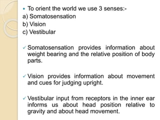  To orient the world we use 3 senses:-
a) Somatosensation
b) Vision
c) Vestibular
 Somatosensation provides information about
weight bearing and the relative position of body
parts.
 Vision provides information about movement
and cues for judging upright.
 Vestibular input from receptors in the inner ear
informs us about head position relative to
gravity and about head movement.
 