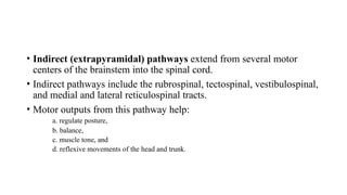 (Physiology of Movement and Balance)_Lecture 3.pptx