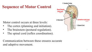 Movement Control (Physiology of Movement and Balance)_Lecture 3.pptx