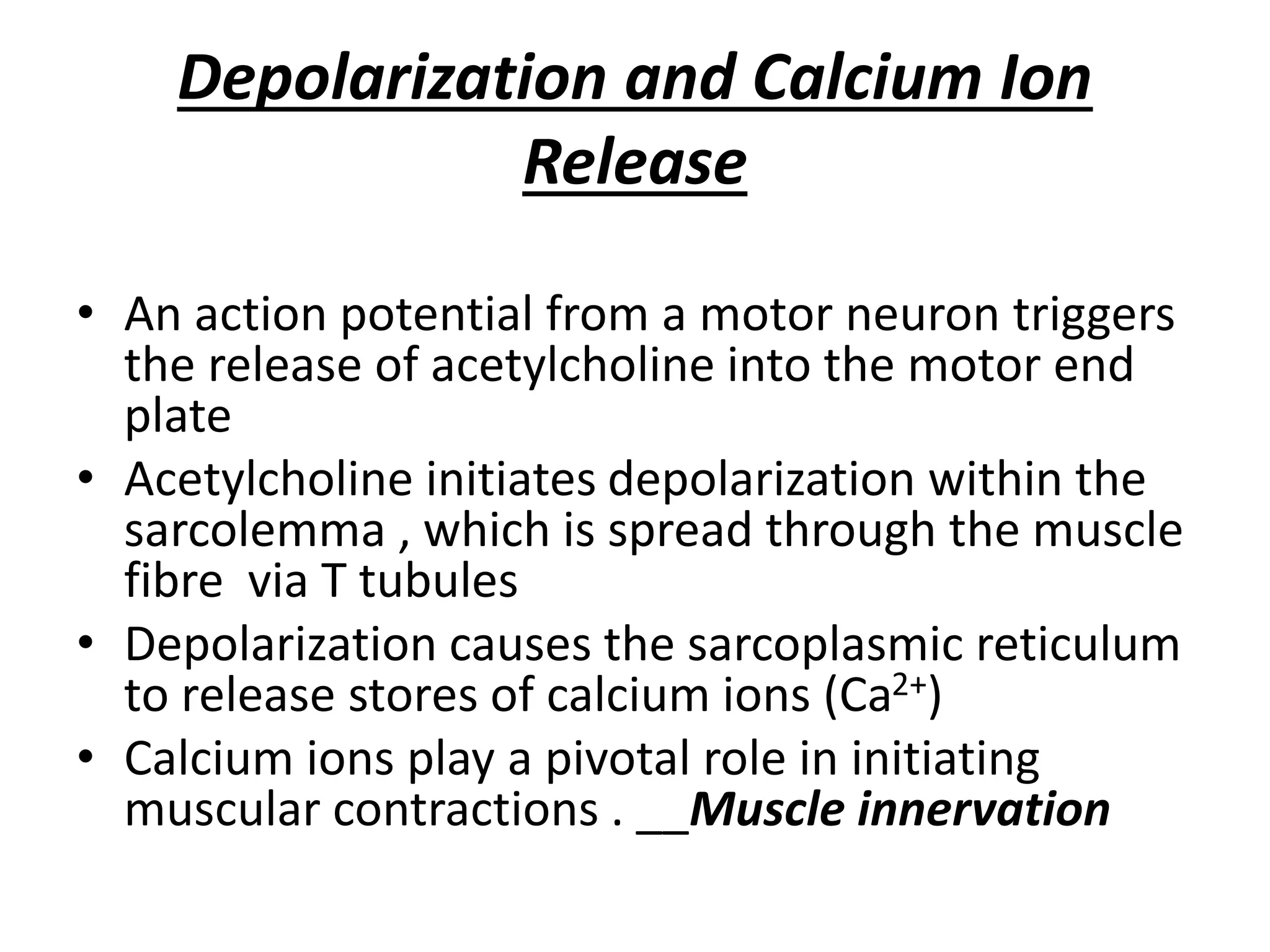 Muscle Contraction Steps Quizlet - hc1s9x2