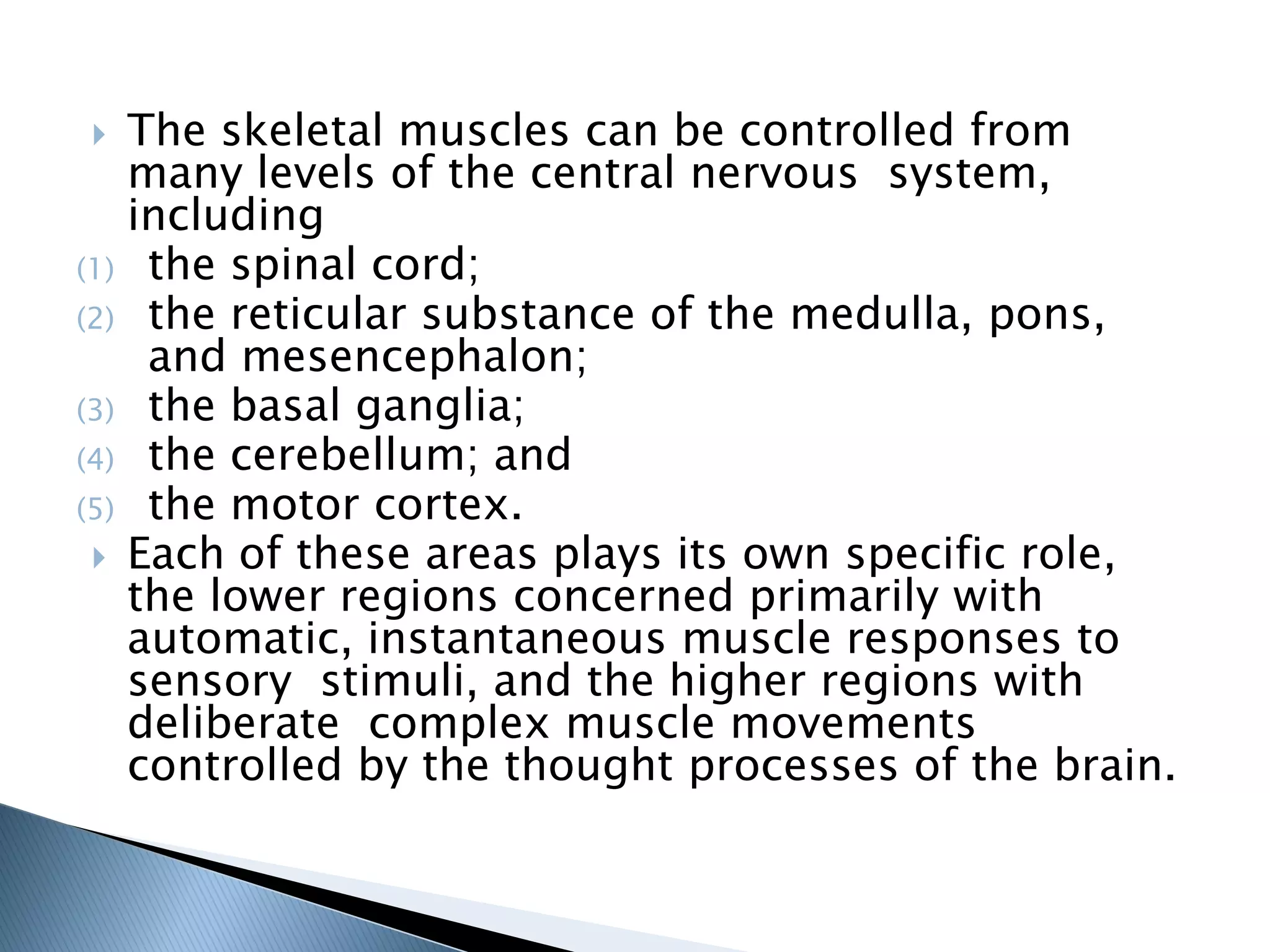 Physiology Of Nervous System | PDF