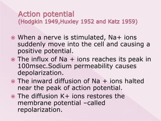    By using radioactive sodium (Na 24)
    and potassium (K42) Hodgkin and
    Keynes (1955) showed that inward
    flux ...