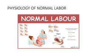 PHYSIOLOGY OF NORMAL LABOR
 