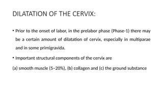 DILATATION OF THE CERVIX:
• Prior to the onset of labor, in the prelabor phase (Phase-1) there may
be a certain amount of dilatation of cervix, especially in multiparae
and in some primigravida.
• Important structural components of the cervix are
(a) smooth muscle (5–20%), (b) collagen and (c) the ground substance
 