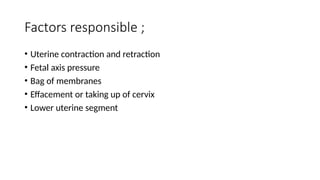Factors responsible ;
• Uterine contraction and retraction
• Fetal axis pressure
• Bag of membranes
• Effacement or taking up of cervix
• Lower uterine segment
 