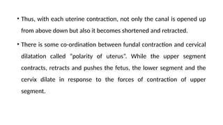 • Thus, with each uterine contraction, not only the canal is opened up
from above down but also it becomes shortened and retracted.
• There is some co-ordination between fundal contraction and cervical
dilatation called “polarity of uterus”. While the upper segment
contracts, retracts and pushes the fetus, the lower segment and the
cervix dilate in response to the forces of contraction of upper
segment.
 