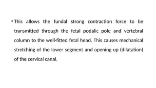 • This allows the fundal strong contraction force to be
transmitted through the fetal podalic pole and vertebral
column to the well-fitted fetal head. This causes mechanical
stretching of the lower segment and opening up (dilatation)
of the cervical canal.
 