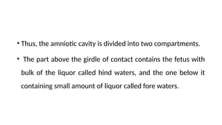 • Thus, the amniotic cavity is divided into two compartments.
• The part above the girdle of contact contains the fetus with
bulk of the liquor called hind waters, and the one below it
containing small amount of liquor called fore waters.
 