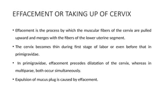 EFFACEMENT OR TAKING UP OF CERVIX
• Effacement is the process by which the muscular fibers of the cervix are pulled
upward and merges with the fibers of the lower uterine segment.
• The cervix becomes thin during first stage of labor or even before that in
primigravidae.
• In primigravidae, effacement precedes dilatation of the cervix, whereas in
multiparae, both occur simultaneously.
• Expulsion of mucus plug is caused by effacement.
 
