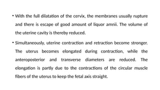 • With the full dilatation of the cervix, the membranes usually rupture
and there is escape of good amount of liquor amnii. The volume of
the uterine cavity is thereby reduced.
• Simultaneously, uterine contraction and retraction become stronger.
The uterus becomes elongated during contraction, while the
anteroposterior and transverse diameters are reduced. The
elongation is partly due to the contractions of the circular muscle
fibers of the uterus to keep the fetal axis straight.
 