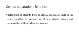Central separation (Schultze):
• Detachment of placenta from its uterine attachment starts at the
center resulting in opening up of few uterine sinuses and
accumulation of blood behind the placenta
 