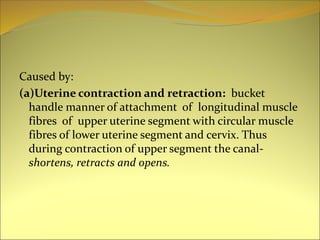 Caused by:
(a)Uterine contraction and retraction: bucket
handle manner of attachment of longitudinal muscle
fibres of upper uterine segment with circular muscle
fibres of lower uterine segment and cervix. Thus
during contraction of upper segment the canal-
shortens, retracts and opens.
 