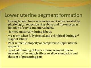 Lower uterine segment formation
 During labour lower uterine segment is demarcated by
physiological retraction ring above and fibromuscular
junction of cervix and uterus below.
 formed maximally during labour.
 7.5-10 cm when fully formed and cylindrical during 2nd
stage of labour
 Poor retractile property as compared to upper uterine
segment.
 gradual thinning of lower uterine segment due to
relaxation of its muscle fibres to allow elongation and
descent of presenting part
 