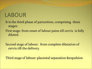LABOUR
It is the third phase of parturition, comprising three
stages:
First stage: from onset of labour pains till cervix is fully
dilated.
Second stage of labour: from complete dilatation of
cervix till the delivery.
Third stage of labour: placental separation &expulsion
 