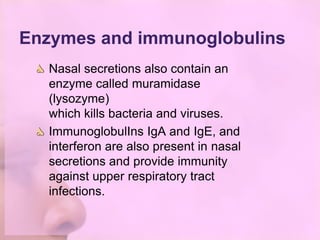 Enzymes and immunoglobulins
   Nasal secretions also contain an
   enzyme called muramidase
   (lysozyme)
   which kills bacteria and viruses.
   ImmunoglobulIns IgA and IgE, and
   interferon are also present in nasal
   secretions and provide immunity
   against upper respiratory tract
   infections.
 