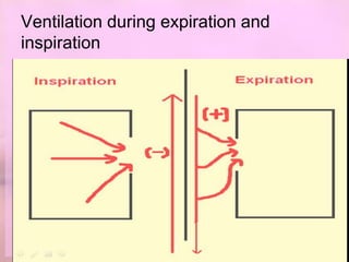 Ventilation during expiration and
inspiration
 
