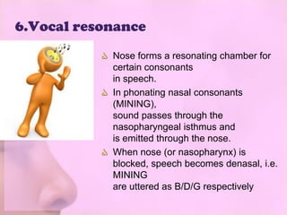 6.Vocal resonance
            Nose forms a resonating chamber for
            certain consonants
            in speech.
            In phonating nasal consonants
            (MINING),
            sound passes through the
            nasopharyngeal isthmus and
            is emitted through the nose.
            When nose (or nasopharynx) is
            blocked, speech becomes denasal, i.e.
            MINING
            are uttered as B/D/G respectively
 