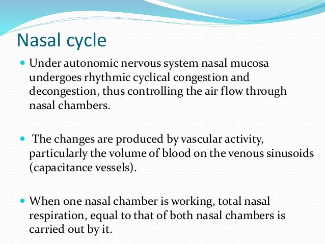 flow respiratory air system and nose,smell of pathway Physiology its