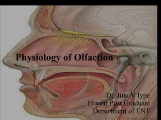 Physiology of Olfaction
Dr. Jinu V Iype
1st year Post Graduate
Department of ENT
 