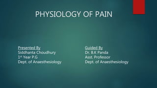 PHYSIOLOGY OF PAIN
Presented By
Siddhanta Choudhury
1st Year P.G
Dept. of Anaesthesiology
Guided By
Dr. B.K Panda
Asst. Professor
Dept. of Anaesthesiology
 