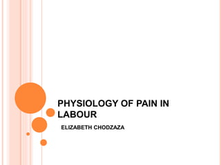 PHYSIOLOGY OF PAIN IN
LABOUR
ELIZABETH CHODZAZA
 