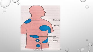 PHYSIOLOGY OF PAIN and TYPES OF PAIN.pptx