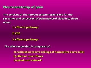Comprehensive Overview of Pain Pathophysiology and Neuroanatomy | PPT