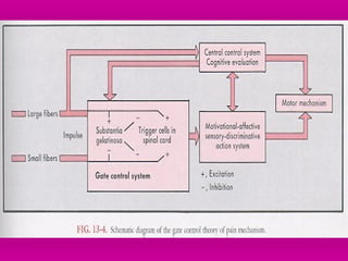 Comprehensive Overview of Pain Pathophysiology and Neuroanatomy | PPT