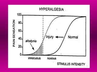 Comprehensive Overview of Pain Pathophysiology and Neuroanatomy | PPT