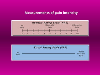 Comprehensive Overview of Pain Pathophysiology and Neuroanatomy | PPT