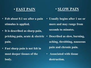 Physiology of pain pathways | PPTX