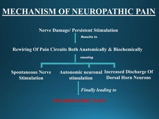 MECHANISM OF NEUROPATHIC PAIN
Nerve Damage/ Persistent Stimulation
Rewiring Of Pain Circuits Both Anatomically & Biochemic...