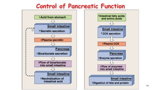 physiology of pancreatic secretion and disorders.ppt