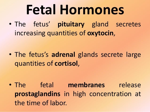 Physiology of parturition