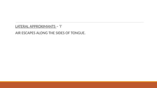LATERAL APPROXIMANTS – ‘l’
AIR ESCAPES ALONG THE SIDES OF TONGUE.
 