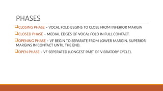 PHASES
CLOSING PHASE – VOCAL FOLD BEGINS TO CLOSE FROM INFERIOR MARGIN
CLOSED PHASE – MEDIAL EDGES OF VOCAL FOLD IN FULL CONTACT.
OPENING PHASE – VF BEGIN TO SEPARATE FROM LOWER MARGIN. SUPERIOR
MARGINS IN CONTACT UNTIL THE END.
OPEN PHASE – VF SEPERATED (LONGEST PART OF VIBRATORY CYCLE).
 